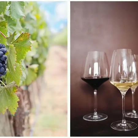 Giannis, A Breath Away From Athens! Lejlighed Nemea