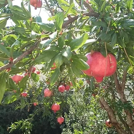 Giannis, A Breath Away From Athens!