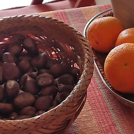 Appartamento Giannis, A Breath Away From Athens! *