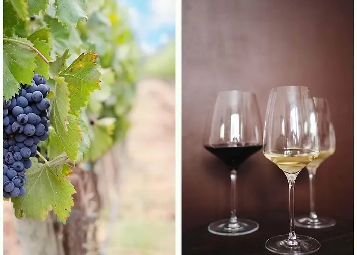 Giannis, A Breath Away From Athens! Appartamento Nemea