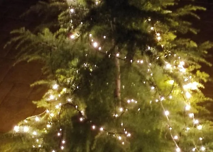 Giannis, A Breath Away From Athens! * Nemea