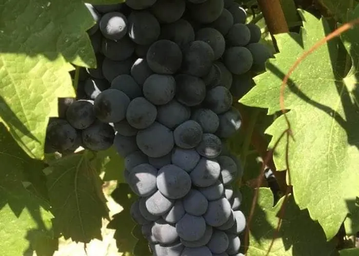 Appartamento Giannis, A Breath Away From Athens! *