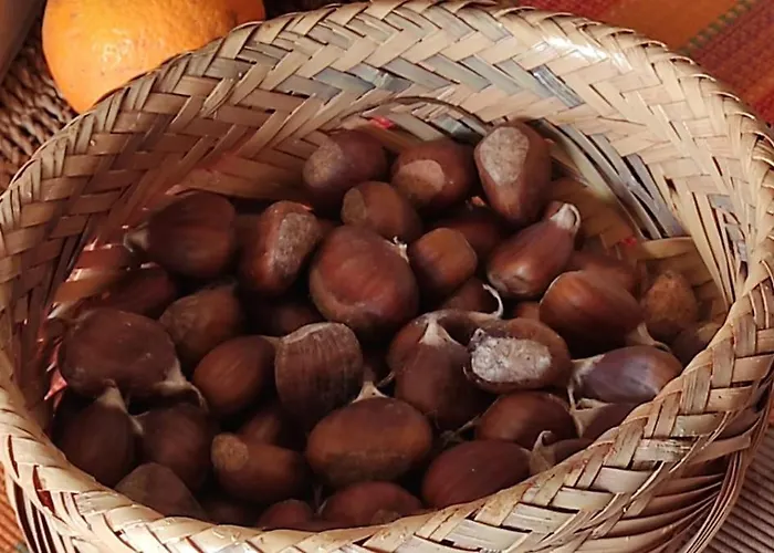 Appartamento Giannis, A Breath Away From Athens!