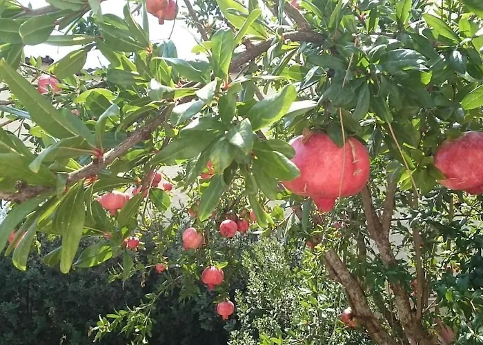 Giannis, A Breath Away From Athens!