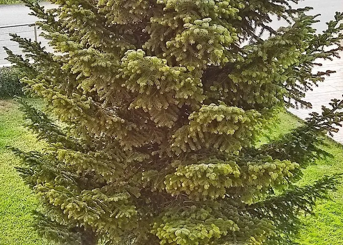 Appartamento Giannis, A Breath Away From Athens! Nemea