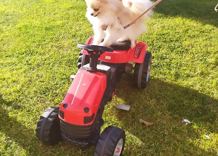 Giannis, A Breath Away From Athens! Nemea